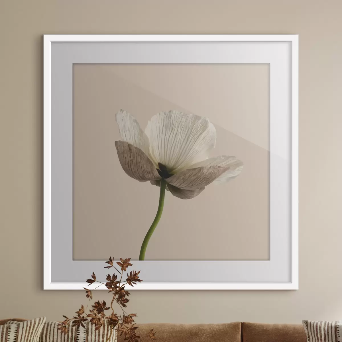 Poster Een delicate bloem met doorschijnende bloemblaadjes op een beige achtergrond in minimalistische stijl f49718