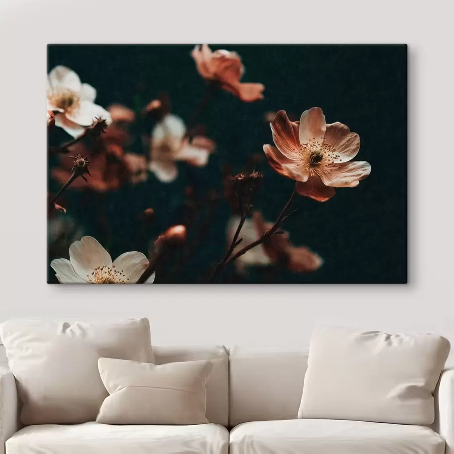  Schilderijen Bloemen in warme tinten tegen een donkere achtergrond s50578