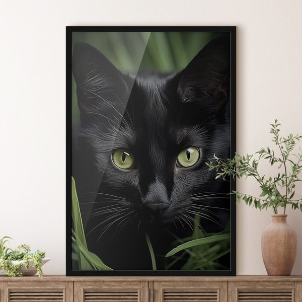 Poster De blik van de zwarte kat in de tropen, Posters Insecten en dieren, f50761bk : Uwalls