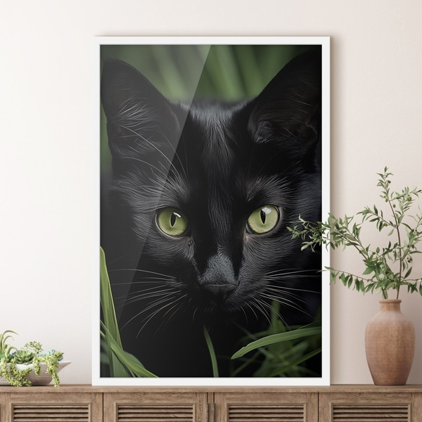 Poster De blik van de zwarte kat in de tropen, Posters Insecten en dieren, f50761wh : Uwalls