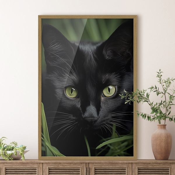 Poster De blik van de zwarte kat in de tropen, Posters Insecten en dieren, f50761wo : Uwalls