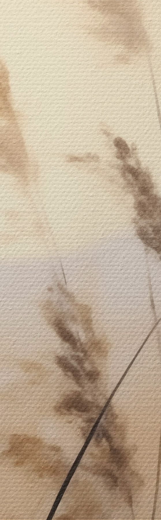  Schilderijen Abstracte kruiden, schilderij in imitatietechniek s50986