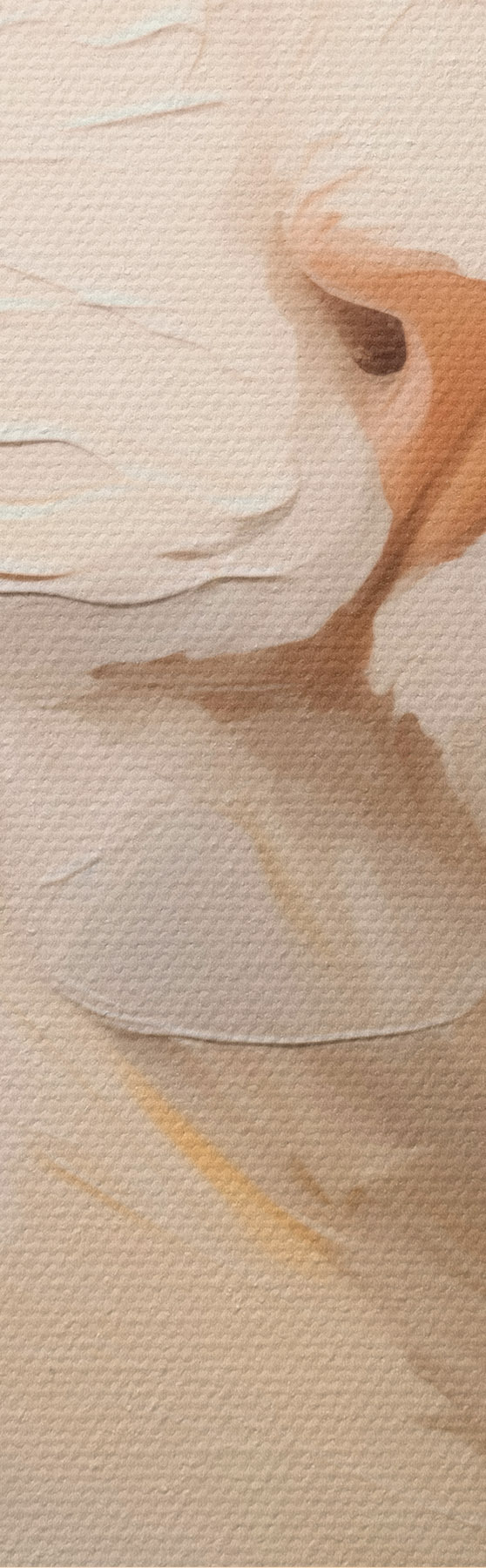  Schilderijen Kat, schilderij in imitatie m31063