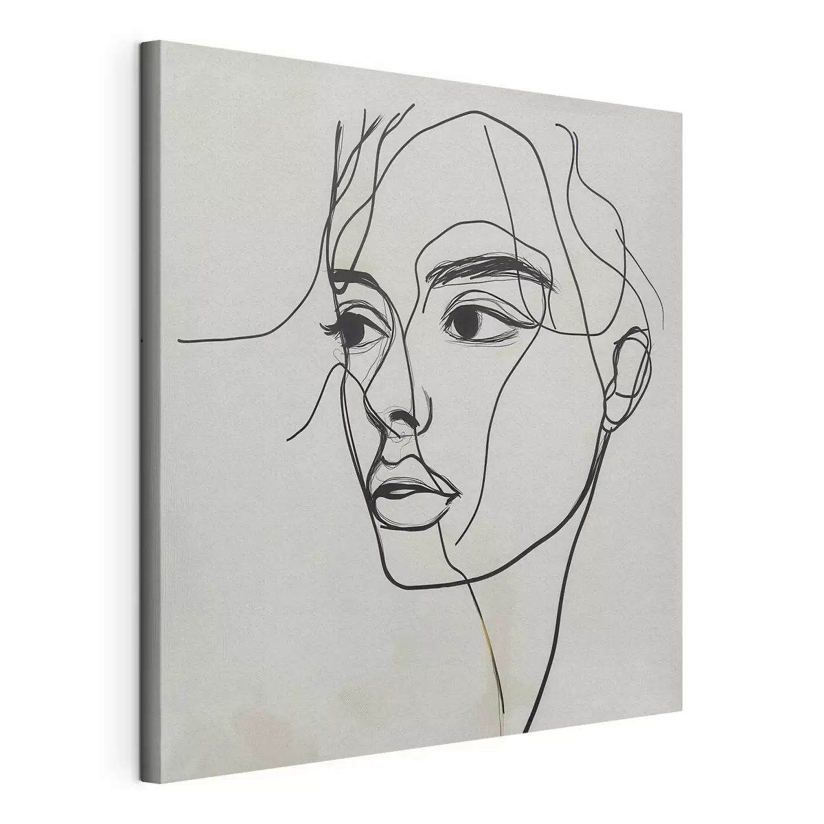 Schilderijen Lineair portret van een gezicht s51002