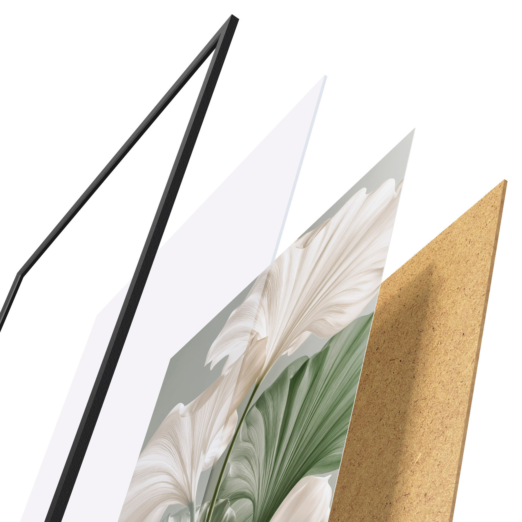 Poster Delicate bladeren d31037