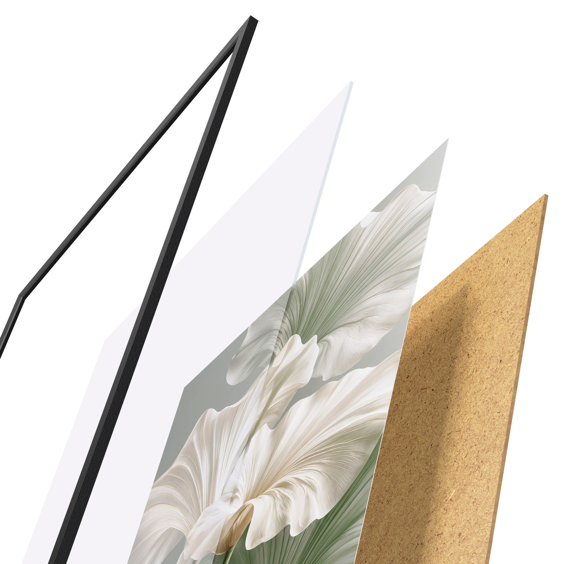 Poster Delicate bladeren f50868
