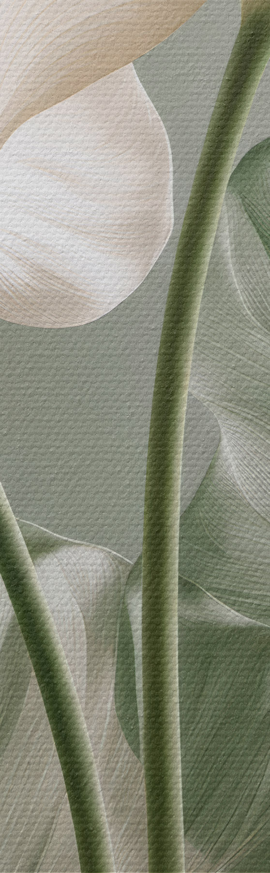  Schilderijen Delicate bladeren m31037
