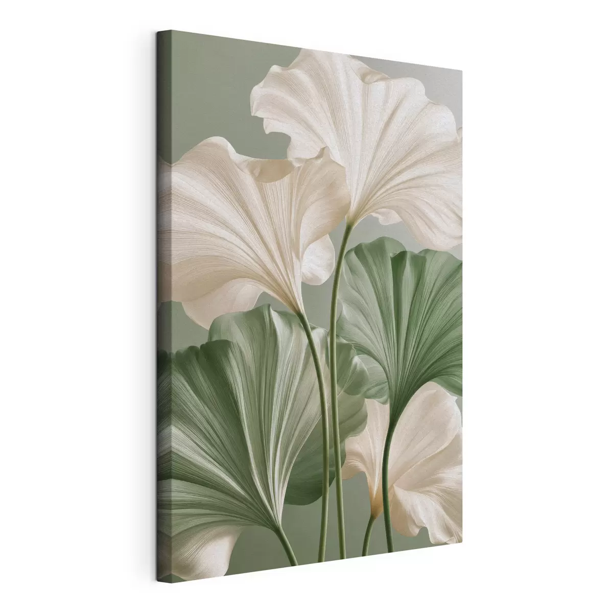  Schilderijen Delicate bladeren s50867