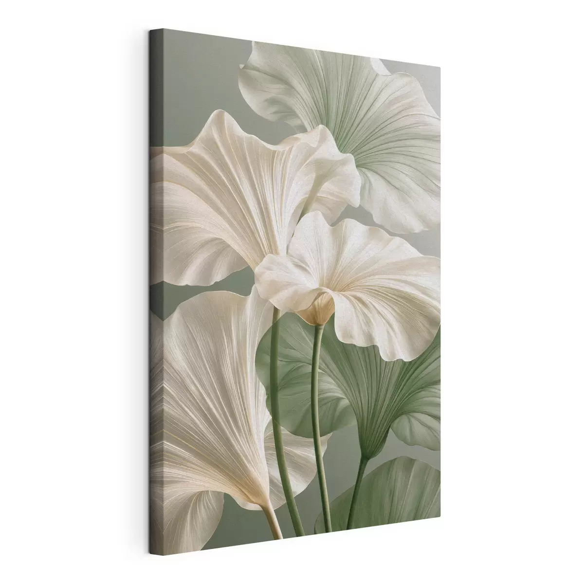  Schilderijen Delicate bladeren s50868