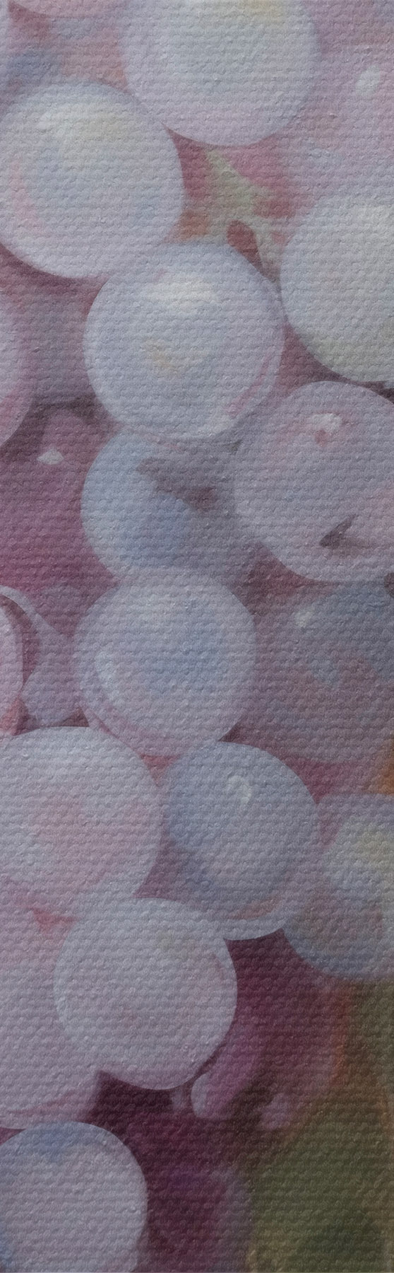 Schilderijen Druiven, imitatie van een schilderij s51124
