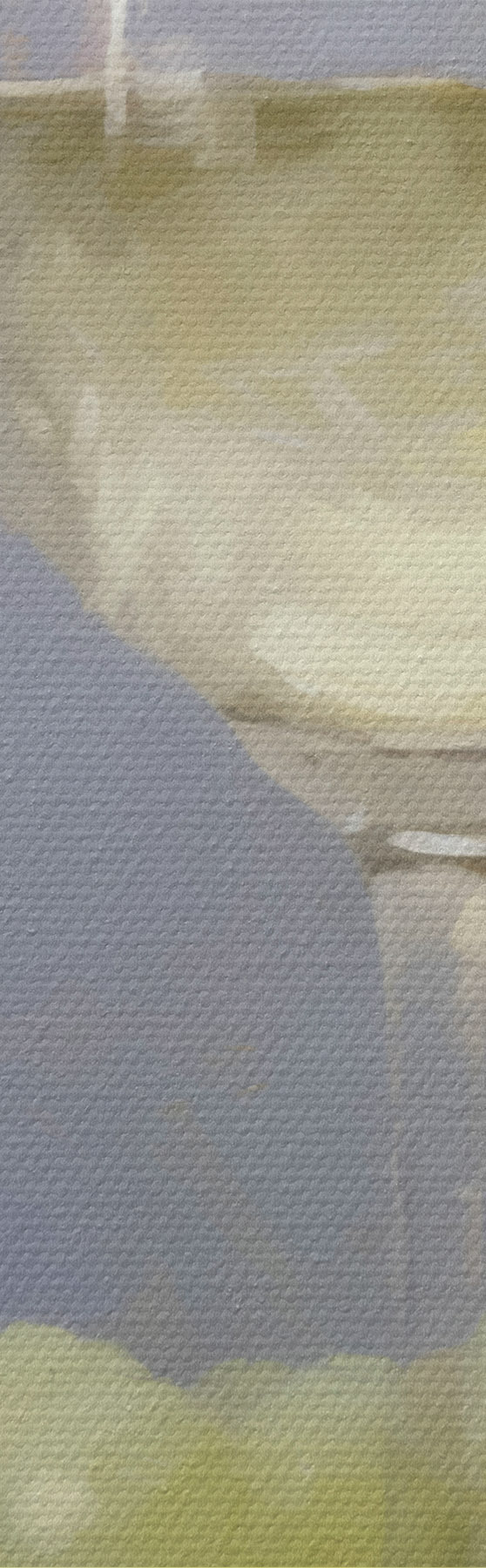 Schilderijen Een glas wijn en druiven, een imitatie van een schilderij s51136