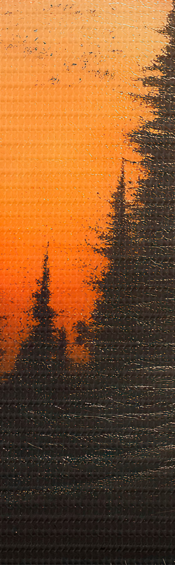  Schilderijen Zonsondergang in haar ogen s51048
