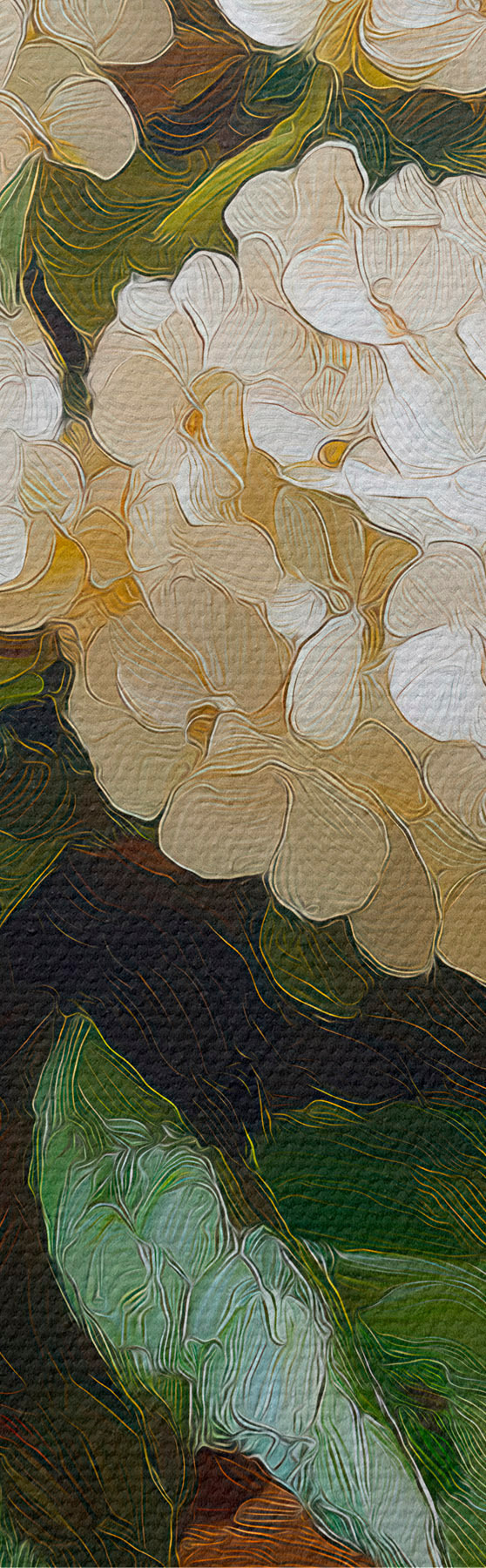  Schilderijen Witte hortensia's s51062