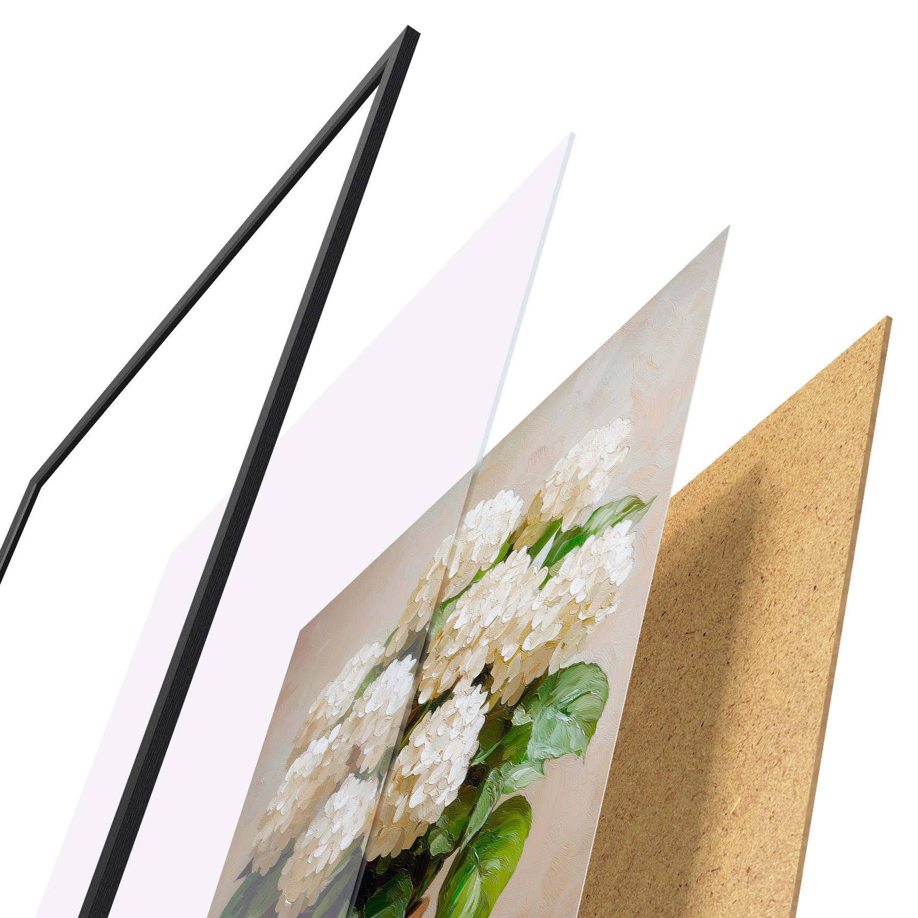 Poster Witte hortensia's f51062