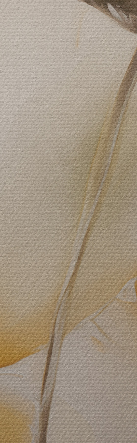  Schilderijen Luchtige papavers in een beige kleurenpalet s51090