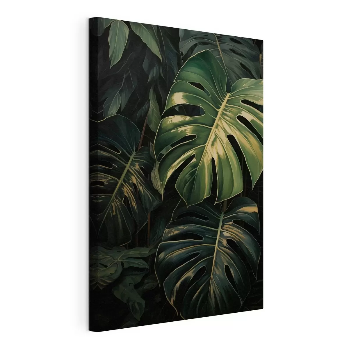  Schilderijen Glanzende Monstera-bladeren in de donkere tropen s51091