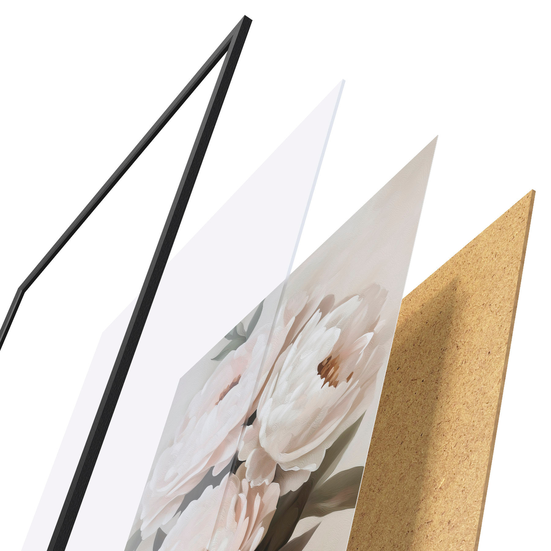 Poster Pioenrozen f51154