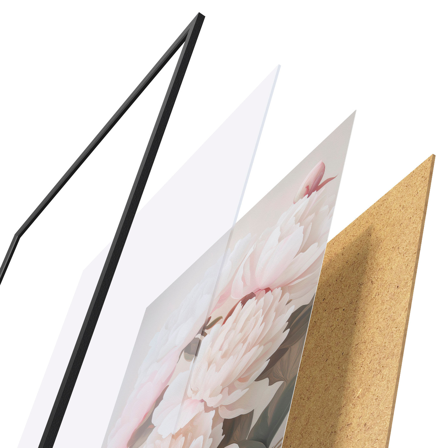 Poster Pioenrozen d31104