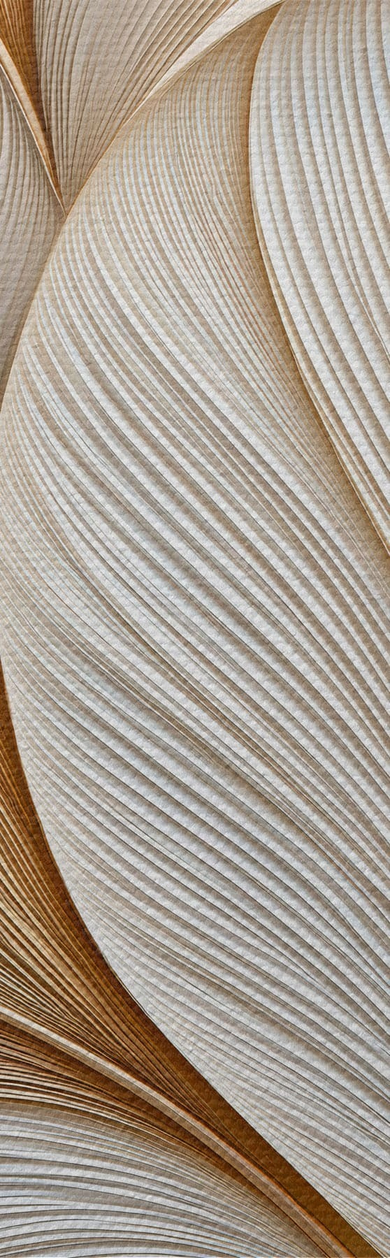  Schilderijen Abstracte bladeren s51177