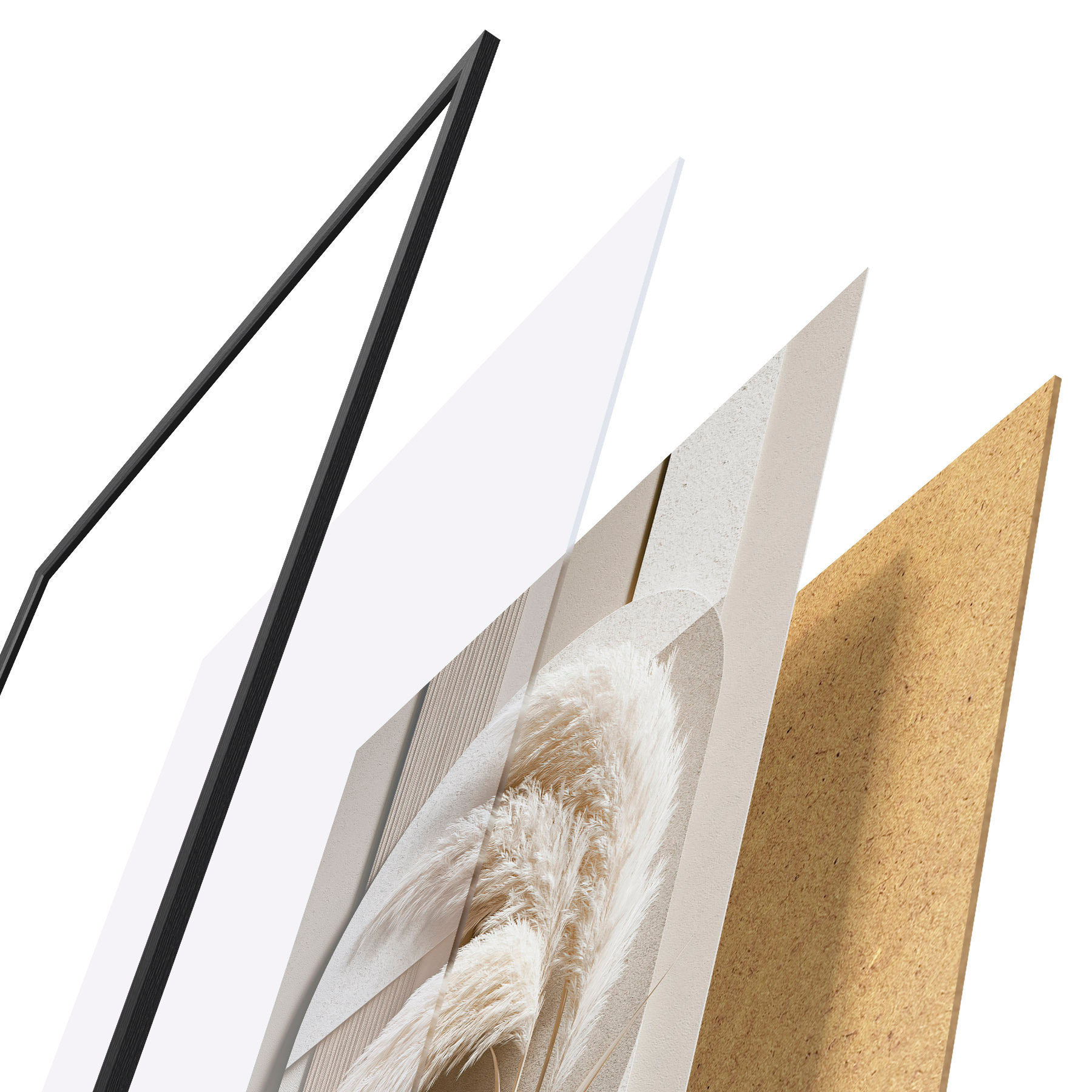 Poster Pampasgras en geometrische bogen f50869