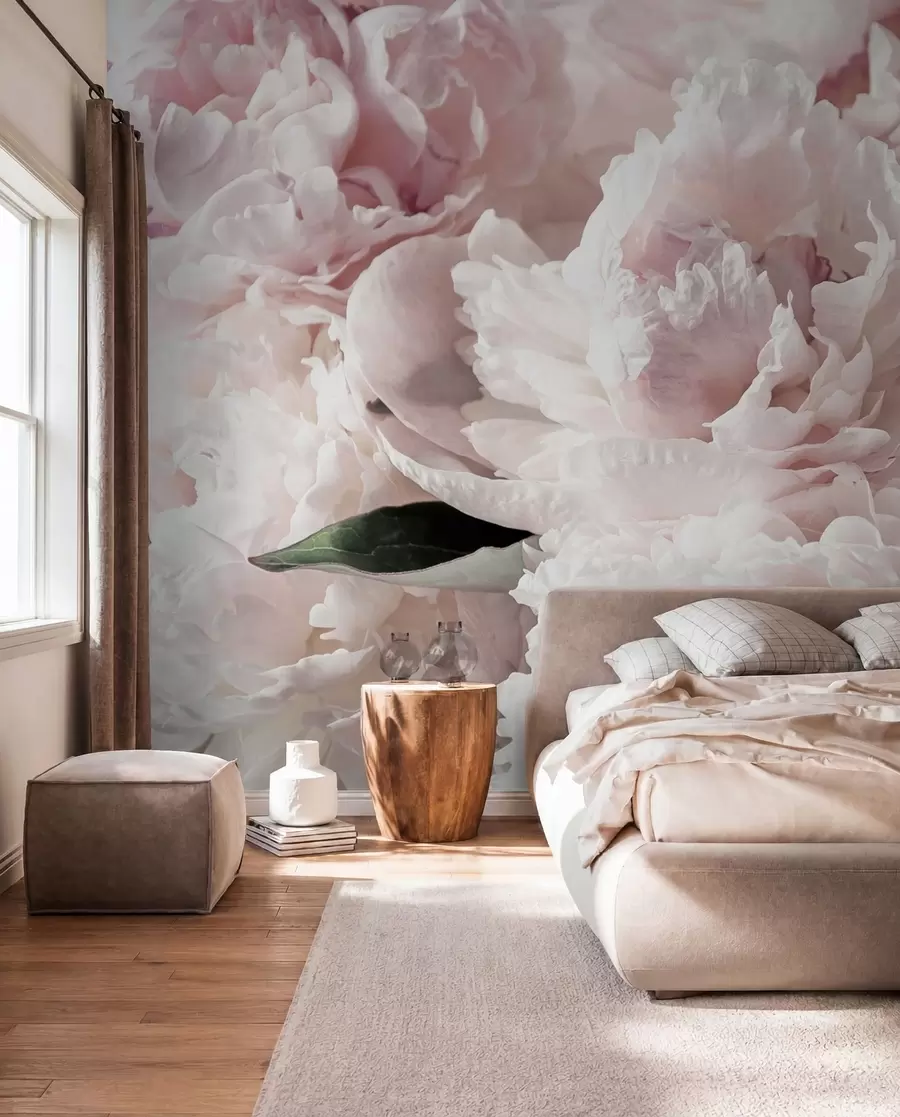 Fotobehang Lichtroze pioenrozen u59600