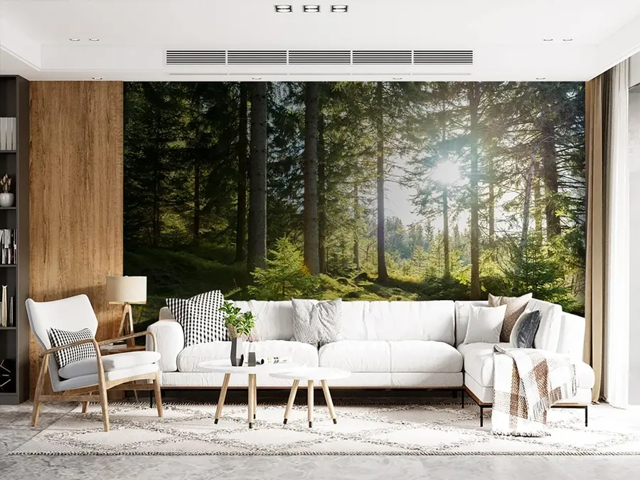 Fotobehang Carkonoshe-gebergte in Polen u80015