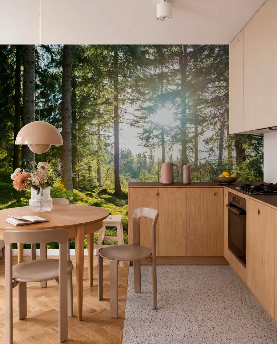 Fotobehang Carkonoshe-gebergte in Polen u80015
