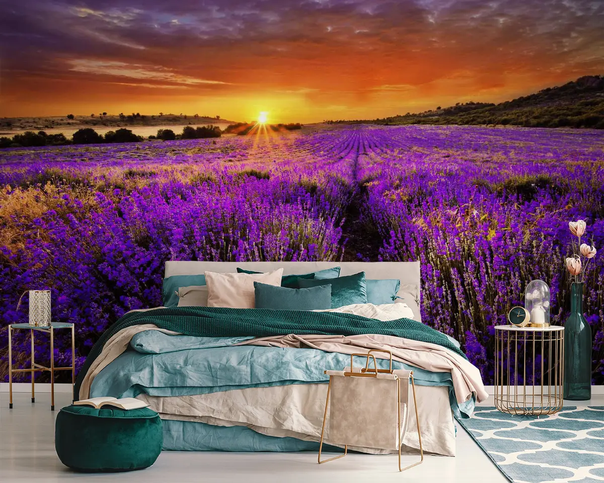 Fotobehang Bloem, wolk en lucht u57609