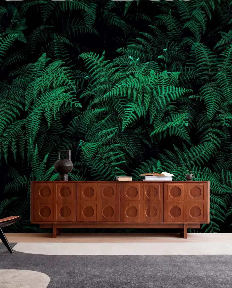 Fotobehang Fern u73636