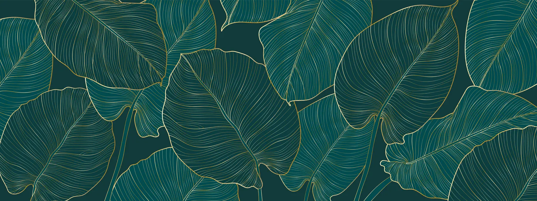 Fotobehang Philodendron u73653
