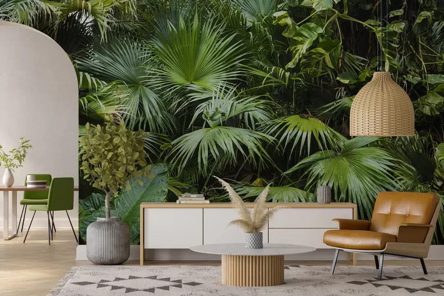 Fotobehang Natte bladeren in de jungle u93616