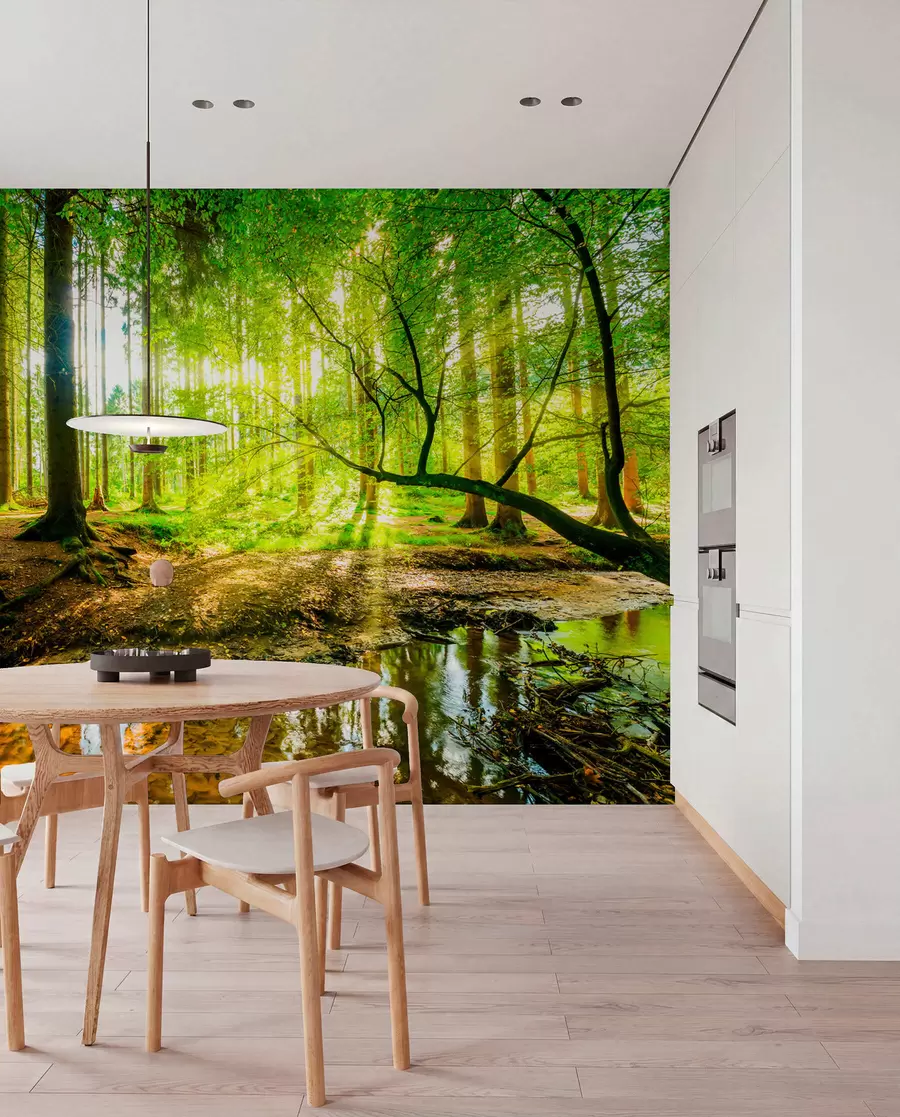 Fotobehang Transparantie van de bosstroom u93621