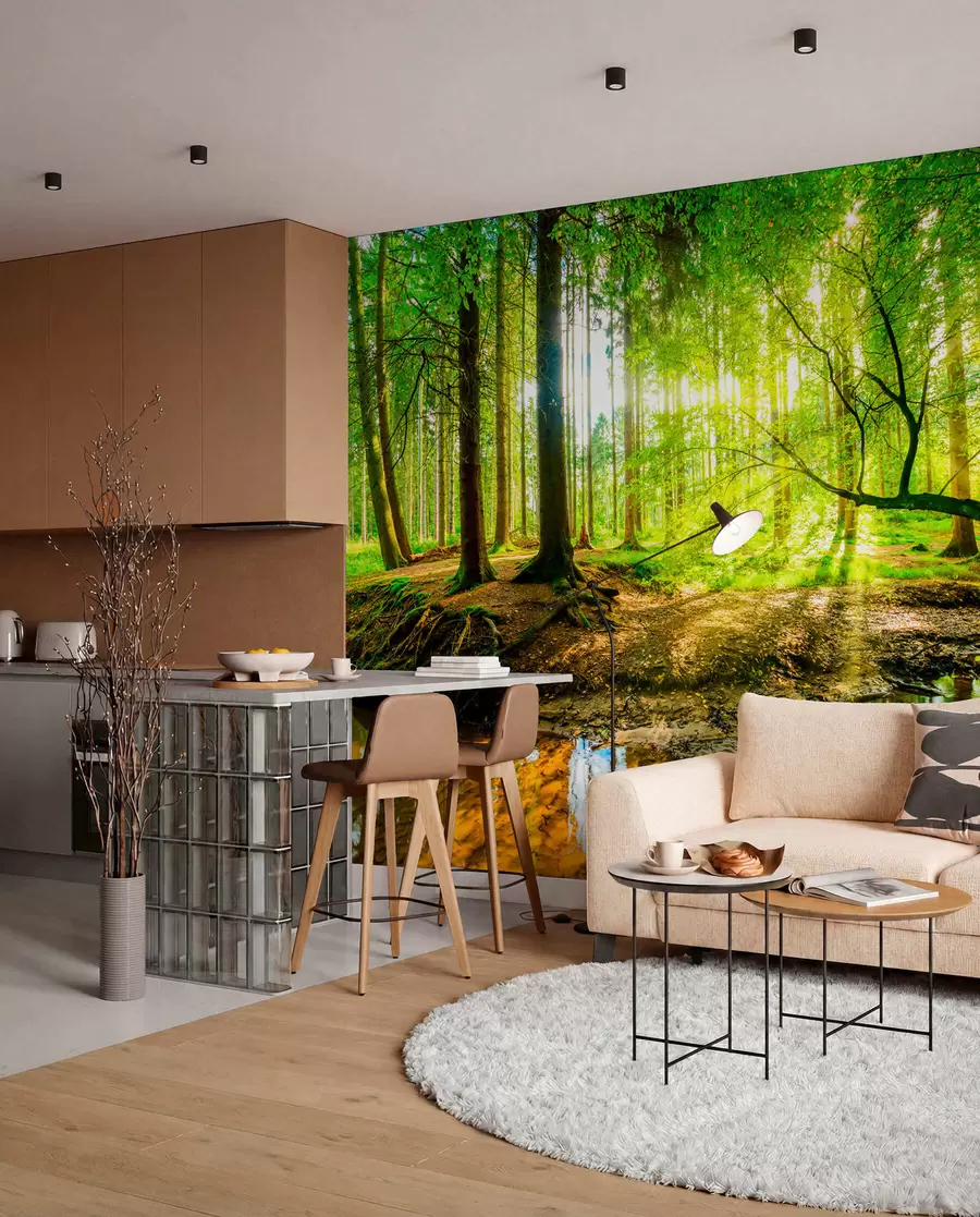 Fotobehang Transparantie van de bosstroom u93621