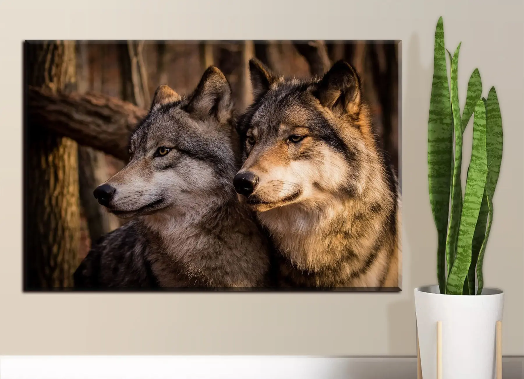 Fotobehang Honden-, carnivoor- en hondenras s15522