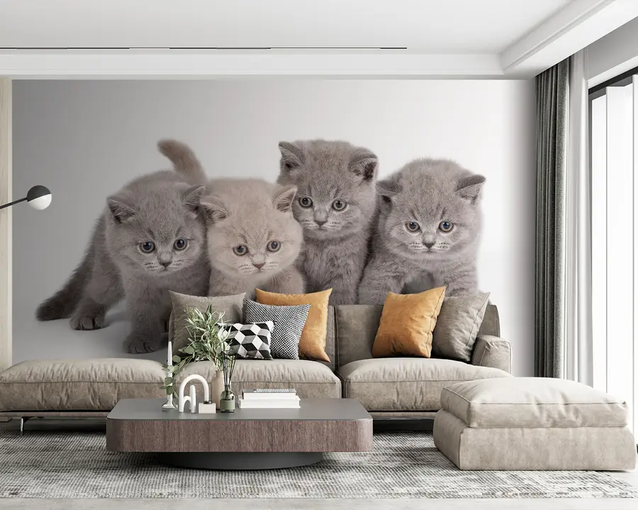 Fotobehang Oog, kat en carnivoor u55076