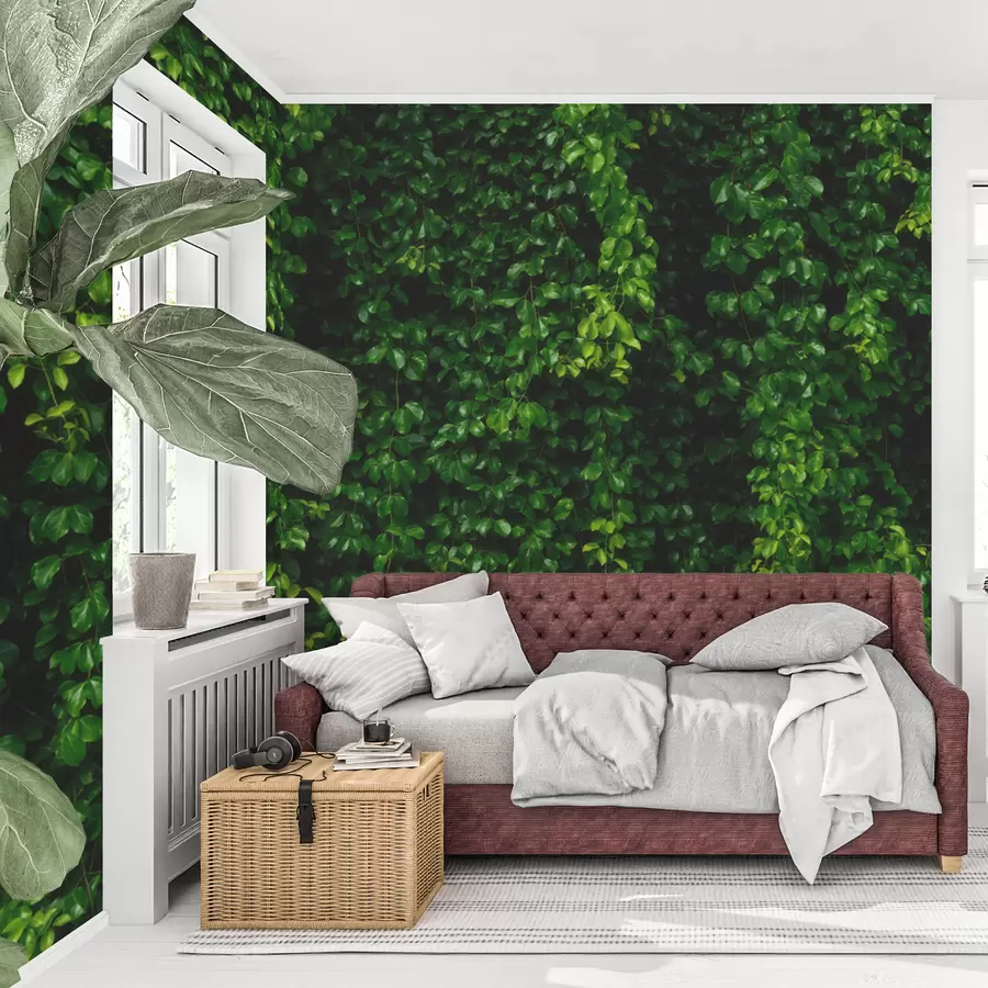 Fotobehang donkergroen tropisch blad u94381