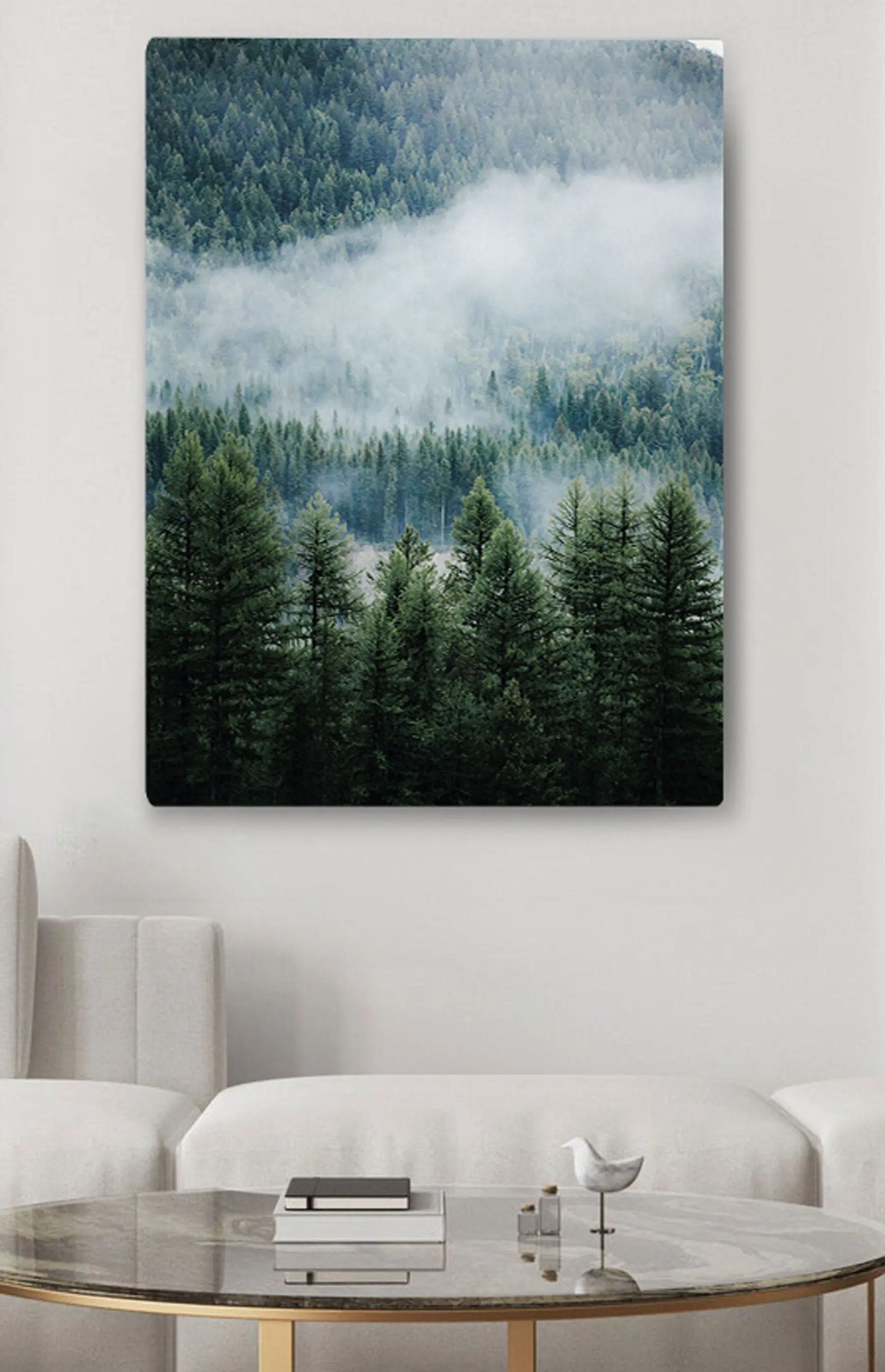 Fotobehang Naaldbos in de mist s34825