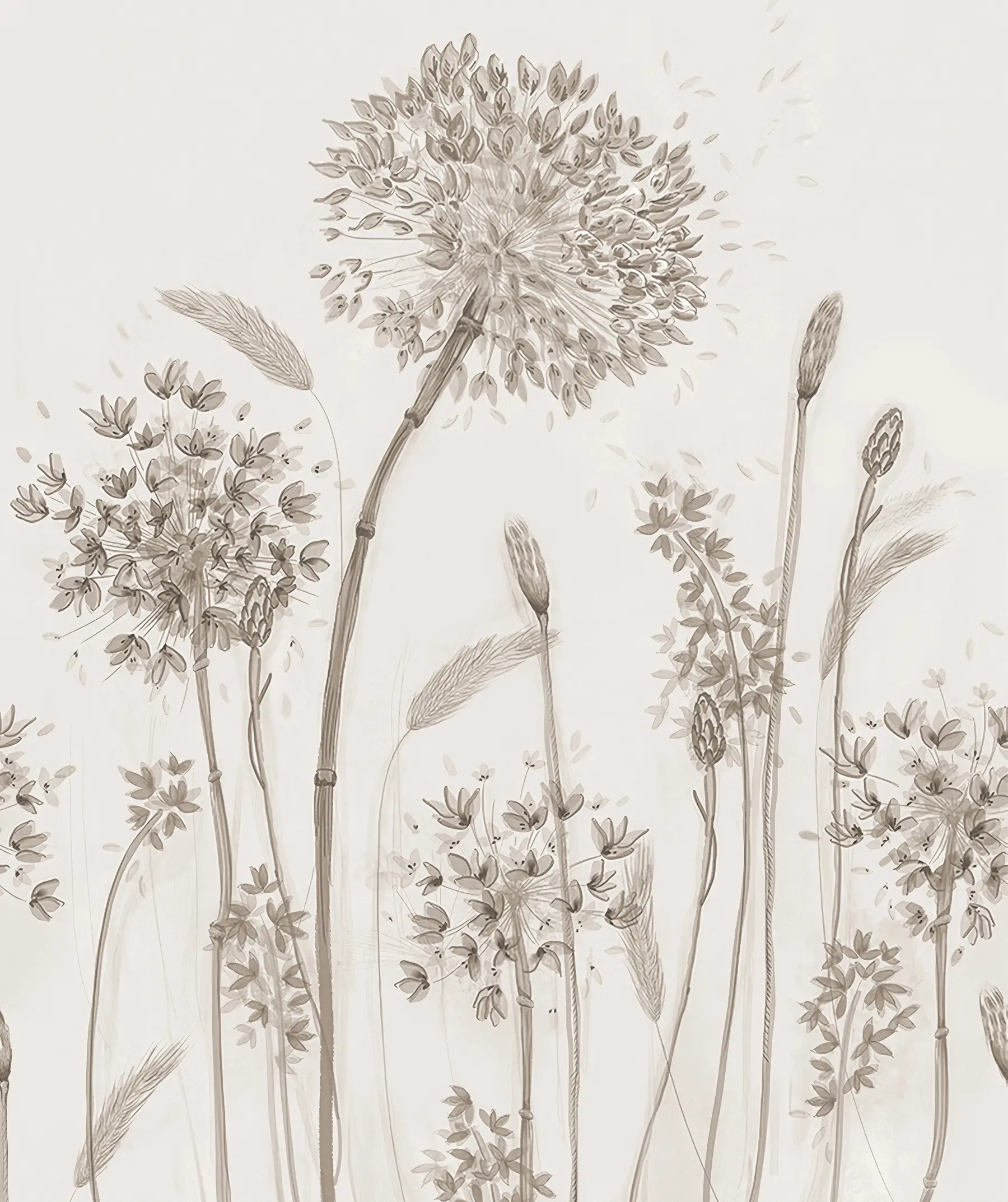 Fotobehang Grote weidebloemen van paardebloemen in monochrome stijl loft-minimalisme u96934