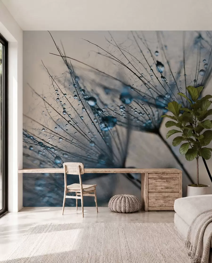 Fotobehang Paardenbloemdauw in blauw u57557v1