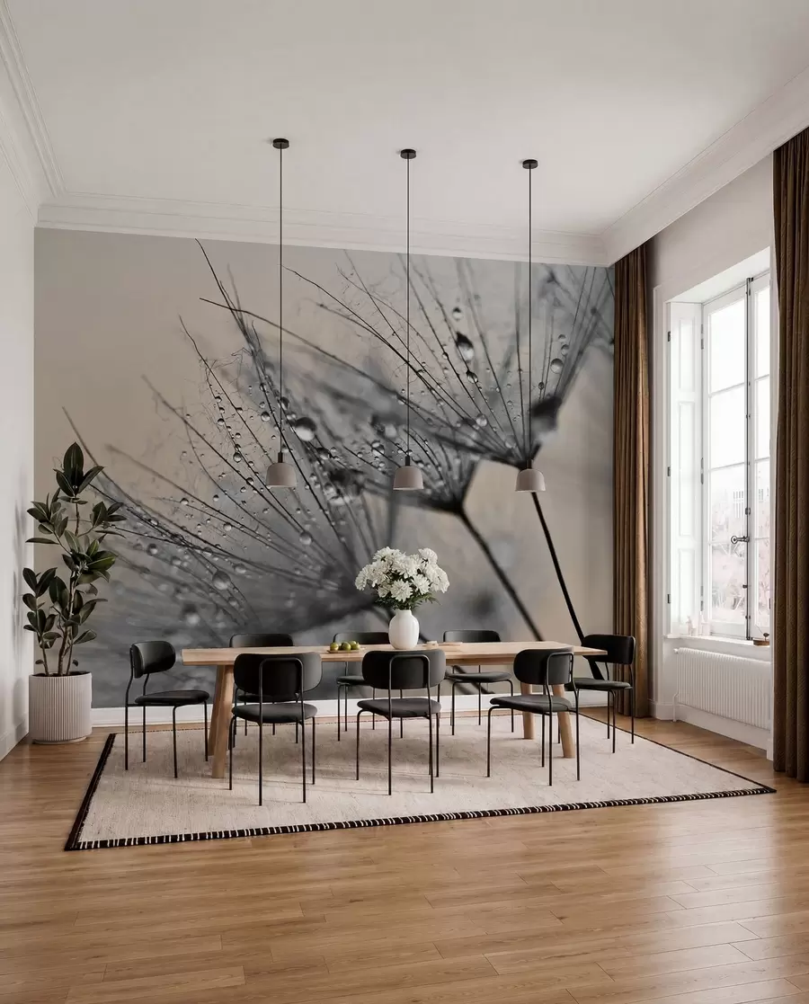 Fotobehang Paardebloemen met grijze waterdruppels u57557v2