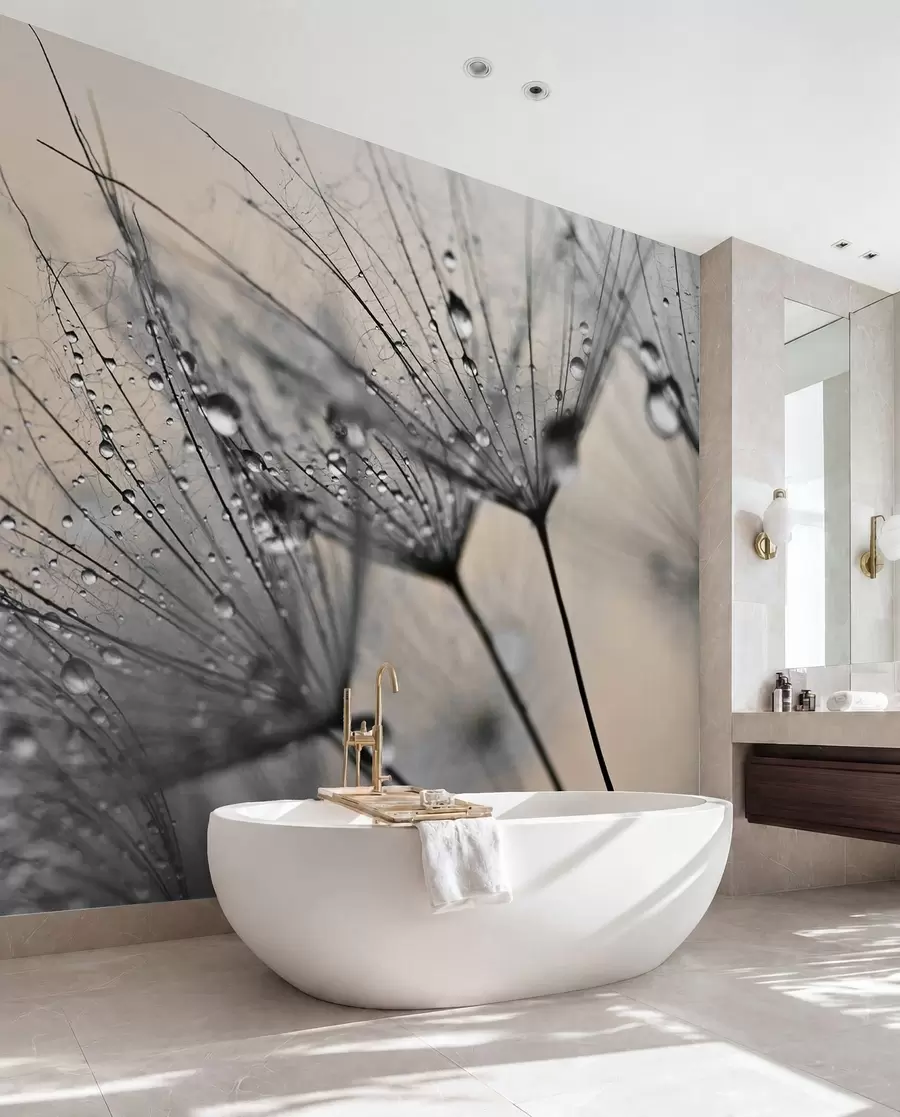 Fotobehang Paardebloemen met grijze waterdruppels u57557v2