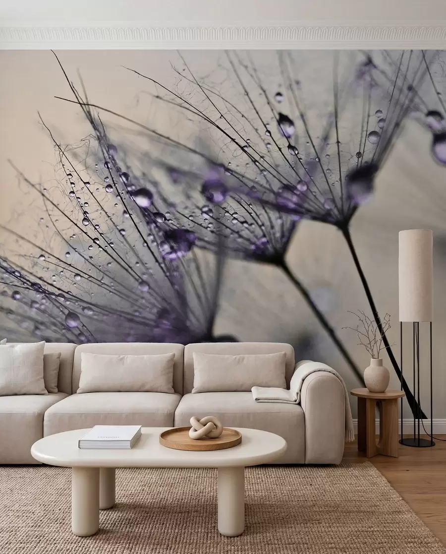 Fotobehang Paarse dauw op paardenbloemen u57557v3