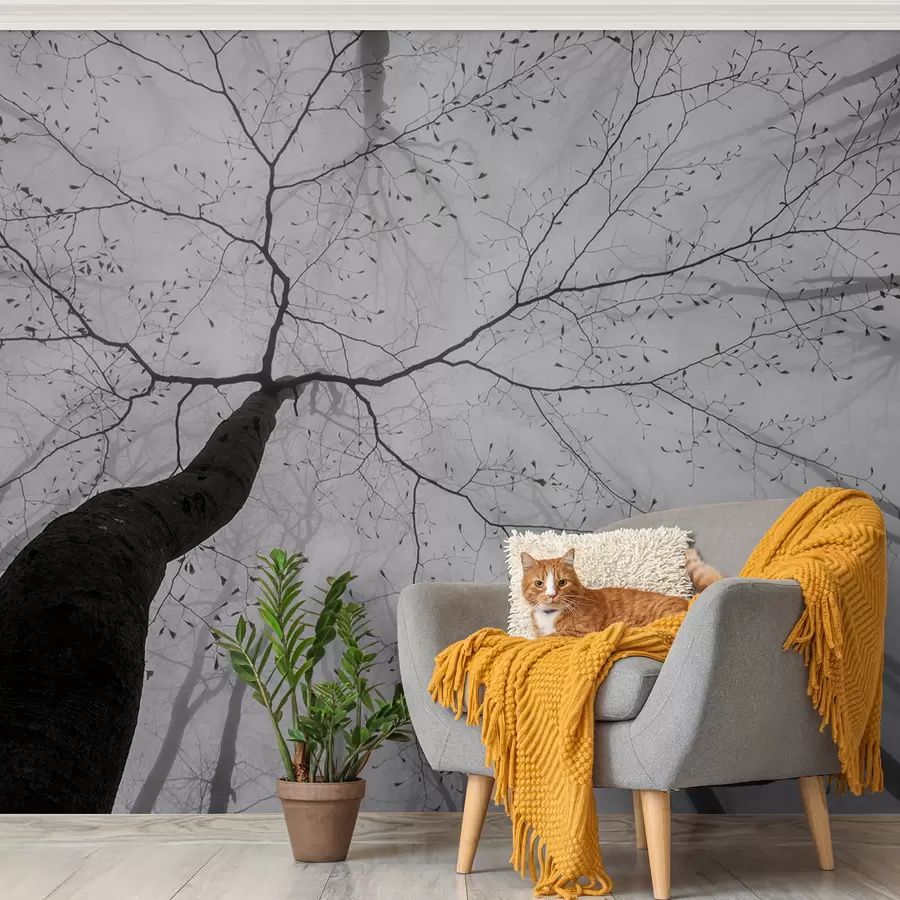 Fotobehang Een mistige ochtend in het bos u97391