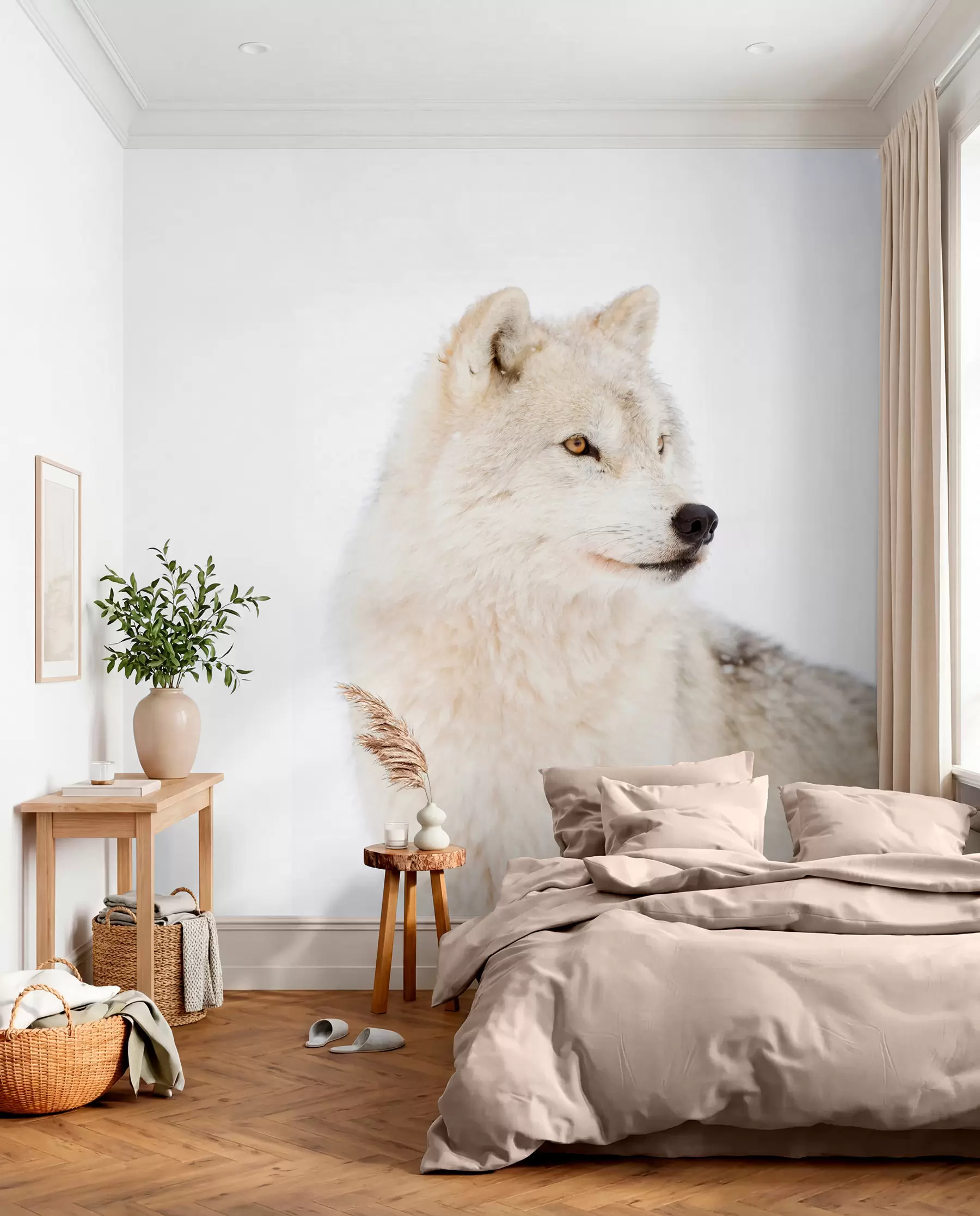 Fotobehang Poolwolf op witte achtergrond u98189