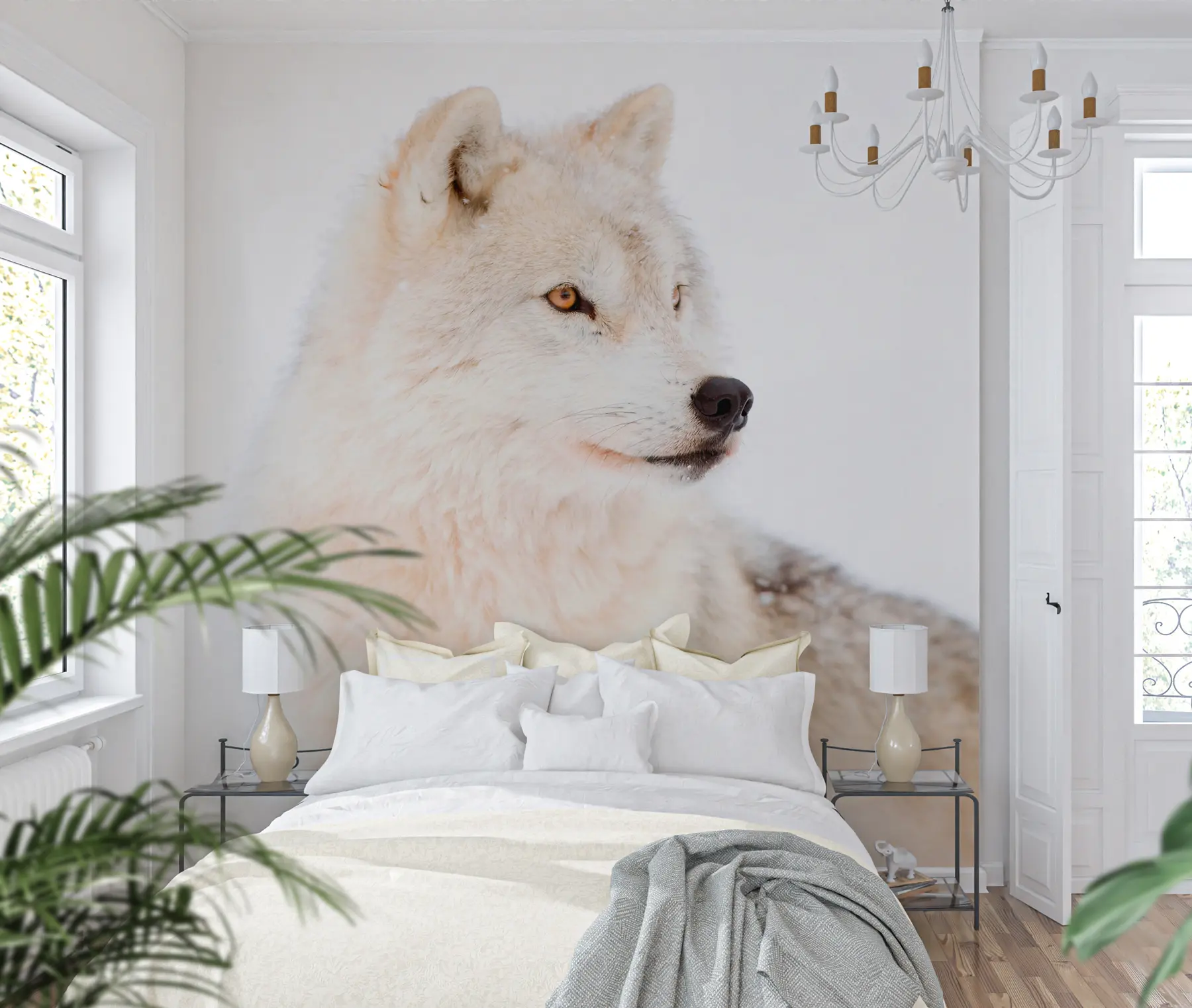 Fotobehang Poolwolf op witte achtergrond u98189