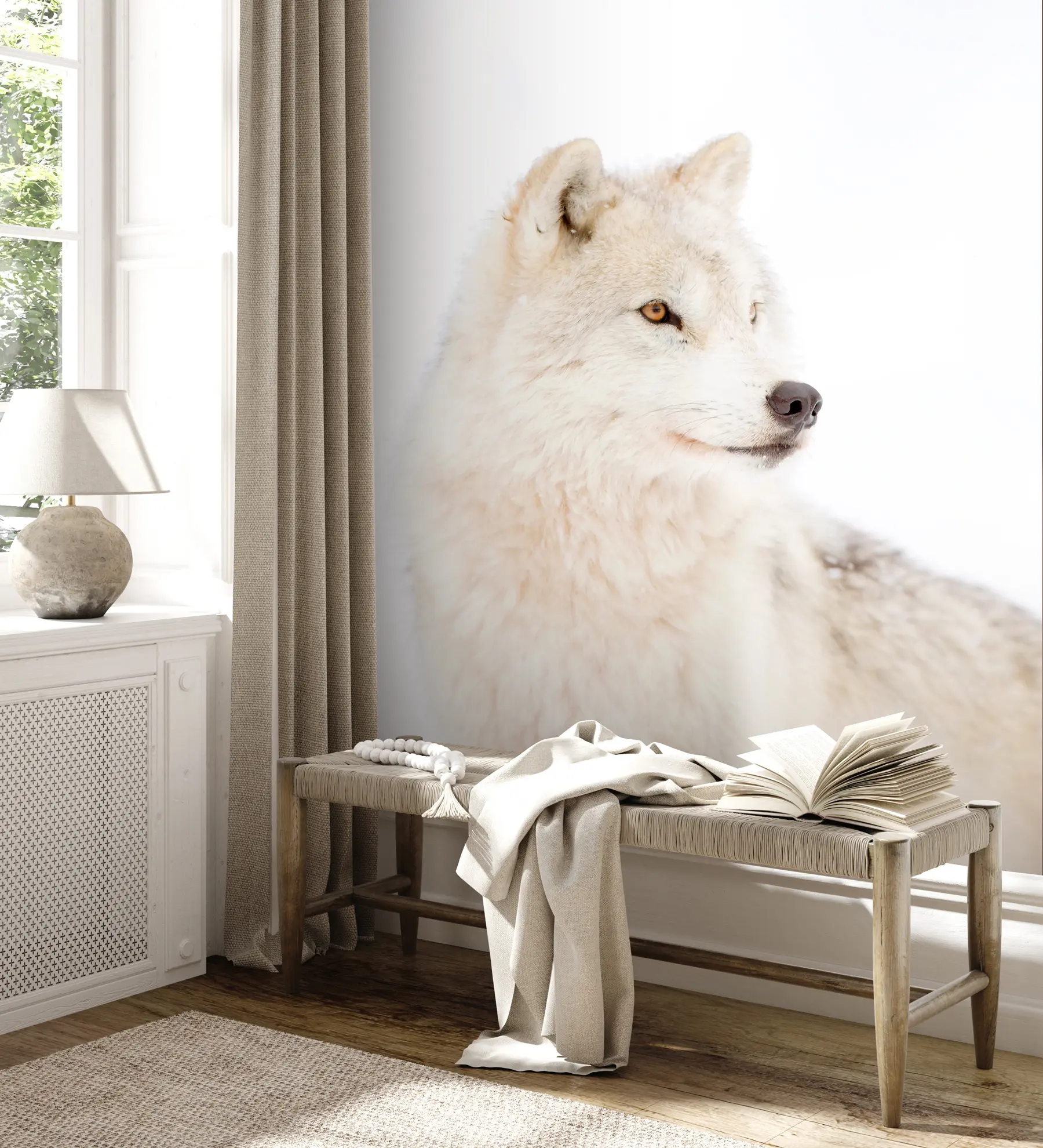 Fotobehang Poolwolf op witte achtergrond u98189