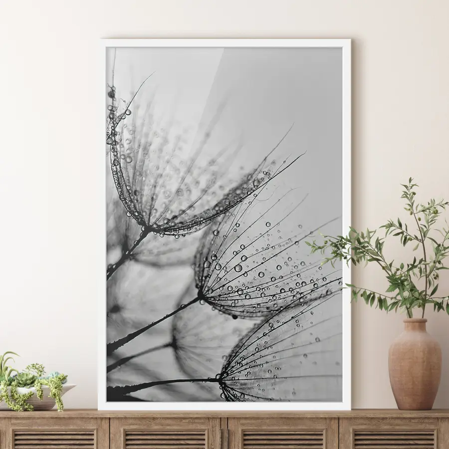 Fotobehang Paardenbloemen in de dauw f20828