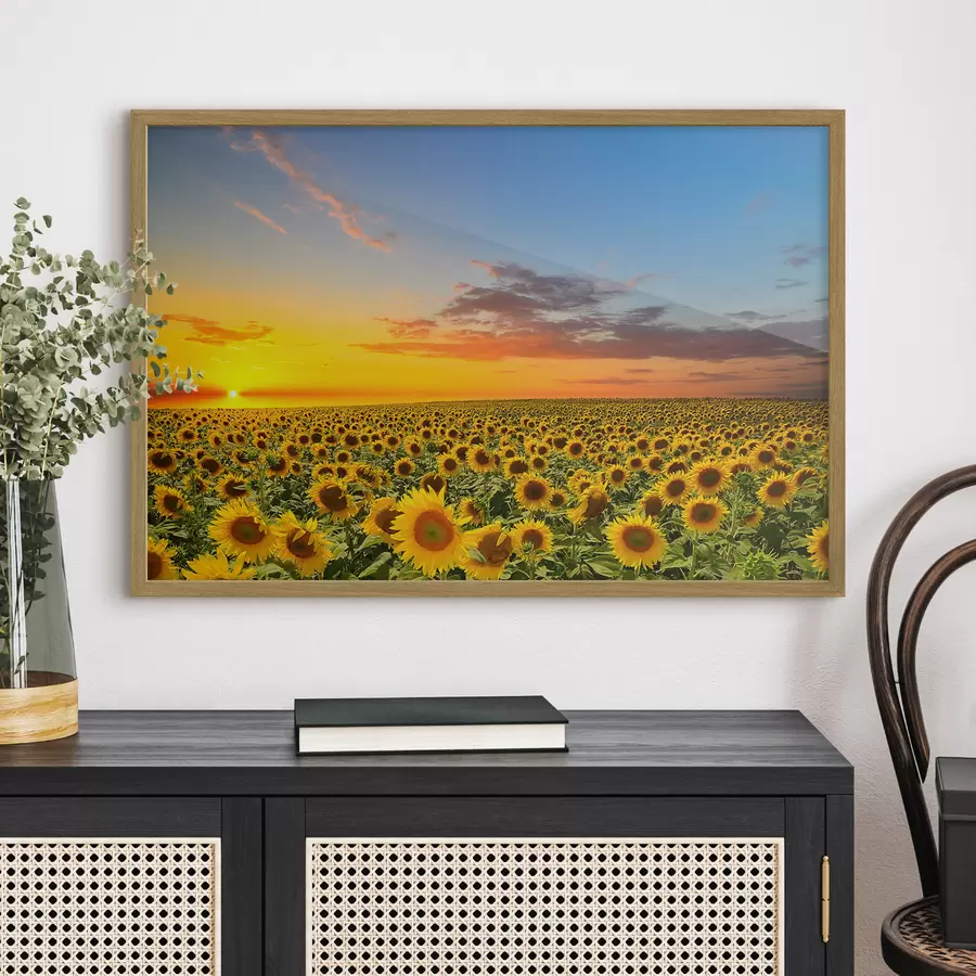 Fotobehang Dageraad in een veld met zonnebloemen f05429